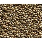 French Hempseed 20kgs thumbnail
