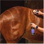 Carr & Day & Martin DreamCoat 500ml Thumbnail Image 1