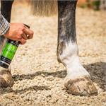 Carr & Day & Martin Stainmaster 500ml Thumbnail Image 1