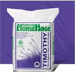 HORSEHAGE PURPLE TIMOTHY Thumbnail Image 1