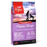 ORIJEN PUPPY FOOD LARGE BREED 11.4KG  thumbnail