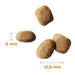 IAMS for Vitality Adult Small & Medium Dog Food with  Fresh chicken 12kg Thumbnail Image 1