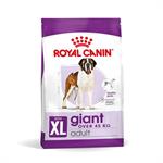 ROYAL CANIN GIANT ADULT DOG FOOD 15KG  thumbnail
