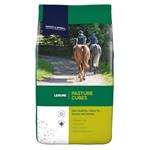 DODSON & HORRELL PASTURE CUBES 20KGS thumbnail
