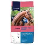 DODSON & HORRELL SIXTEEN PLUS CUBES 20KG thumbnail