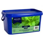 DODSON & HORRELL MINT 1KG thumbnail