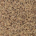 Beyers Deli Nature Canaries 4kgs Thumbnail Image 1