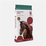 SARACEN SUPER FIBRE CUBES 20KGS thumbnail