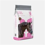 Saracen Veteran Balancer 20kgs Thumbnail Image 0