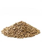 Saracen Level Grow Pencils 20kg *available to order* Thumbnail Image 1