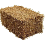 BALE OF WHEAT STRAW thumbnail