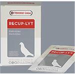 OROPHORMA RECUP-LYT - electrolytes - 12 sachets 240G thumbnail